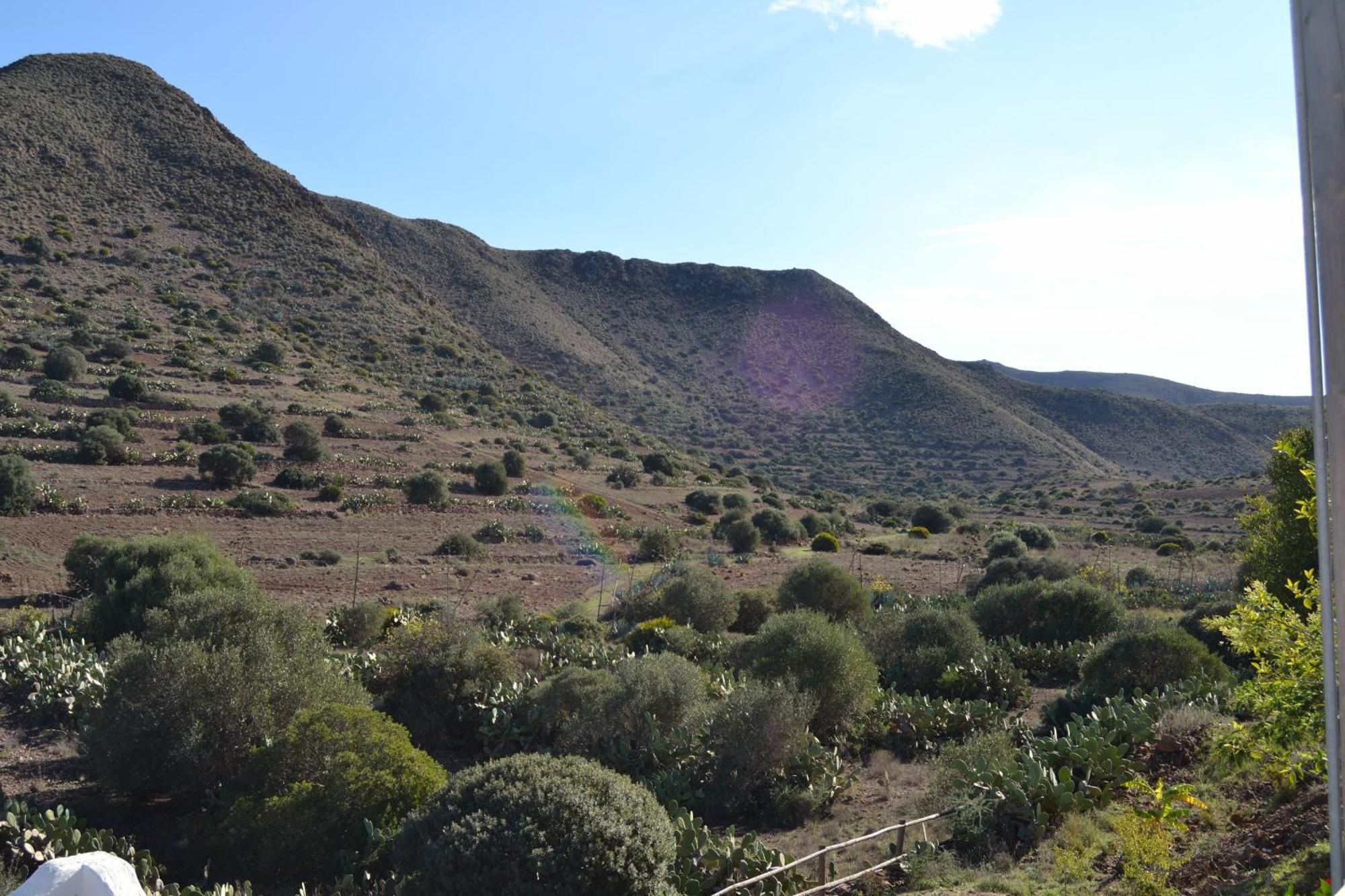 Casas Rurales La Minilla Los Albaricoques Kültér fotó