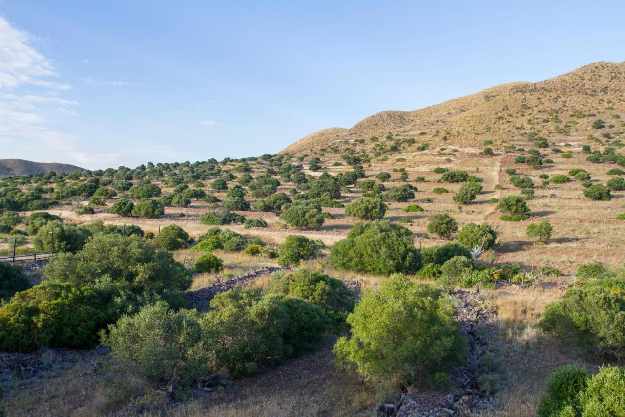 Casas Rurales La Minilla Los Albaricoques Kültér fotó